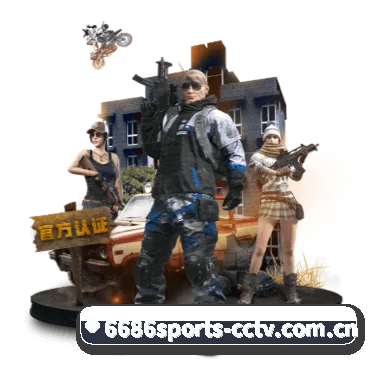 媒体矩阵简介(6686Sports)